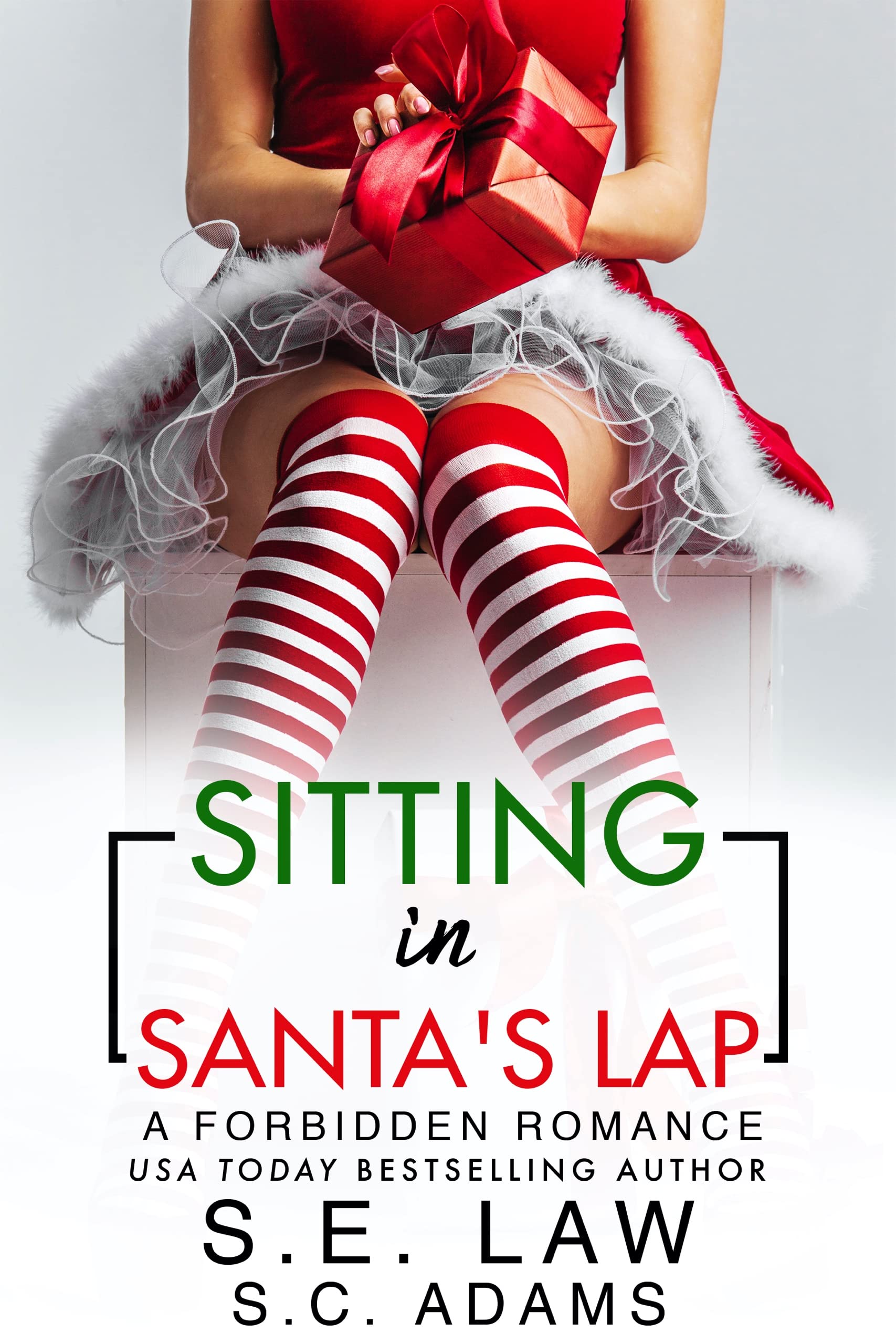 Sitting in Santa's Lap (Forbidden Fantasies 65) by S.E. Law